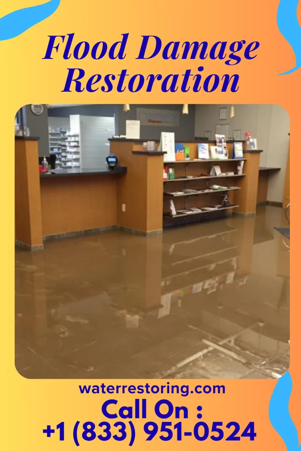 Flood Damage Restoration in Greenfield, IN
