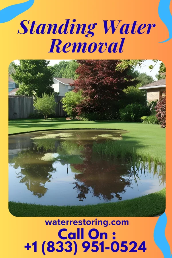 Standing Water Removal in Greenfield, IN